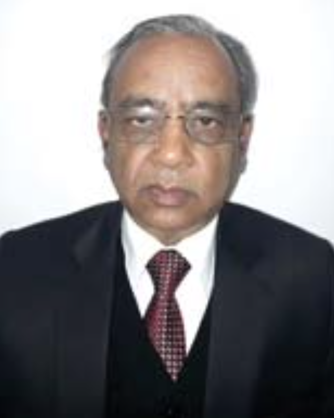 Bhushan Kumar Goyal  (Author)