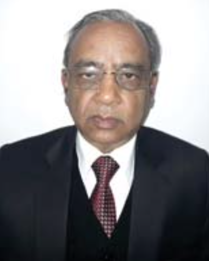 Bhushan Kumar Goyal (Author)